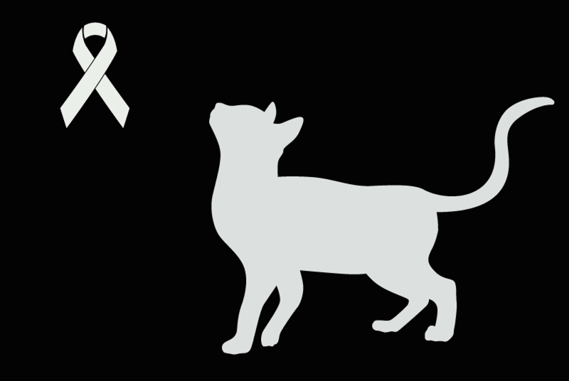 Ontdekkingsalarm Kat  Onbekend Agen Frankrijk